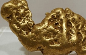 Austrālietis atrada pieckilogramīgu zelta tīrradni